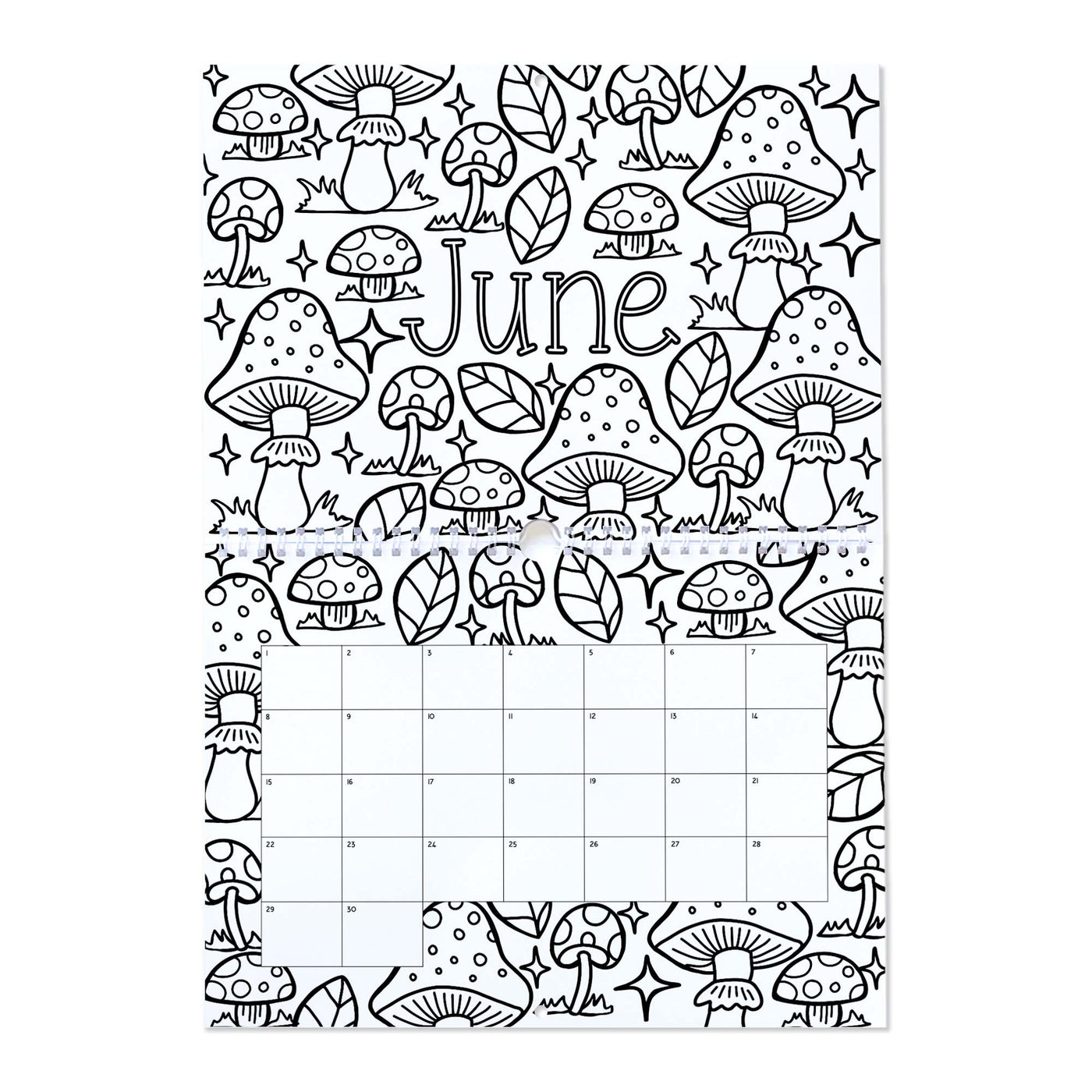 JUMBO Birthday and Anniversary Calendar