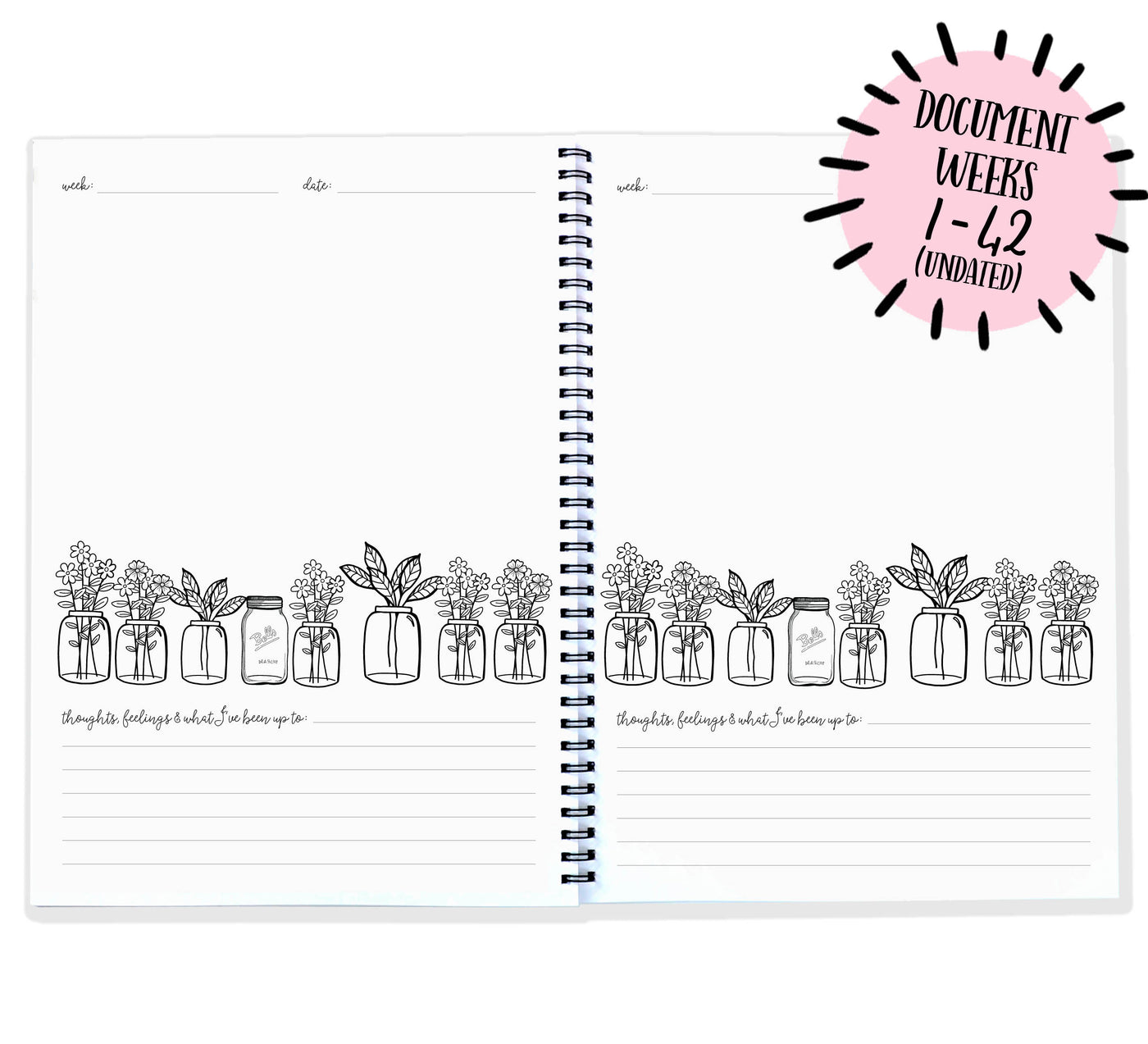 Blueberry Co Pregnancy Journal: The best modern pregnancy diary you can colour in! Suitable for IVF diary and same-sex families!