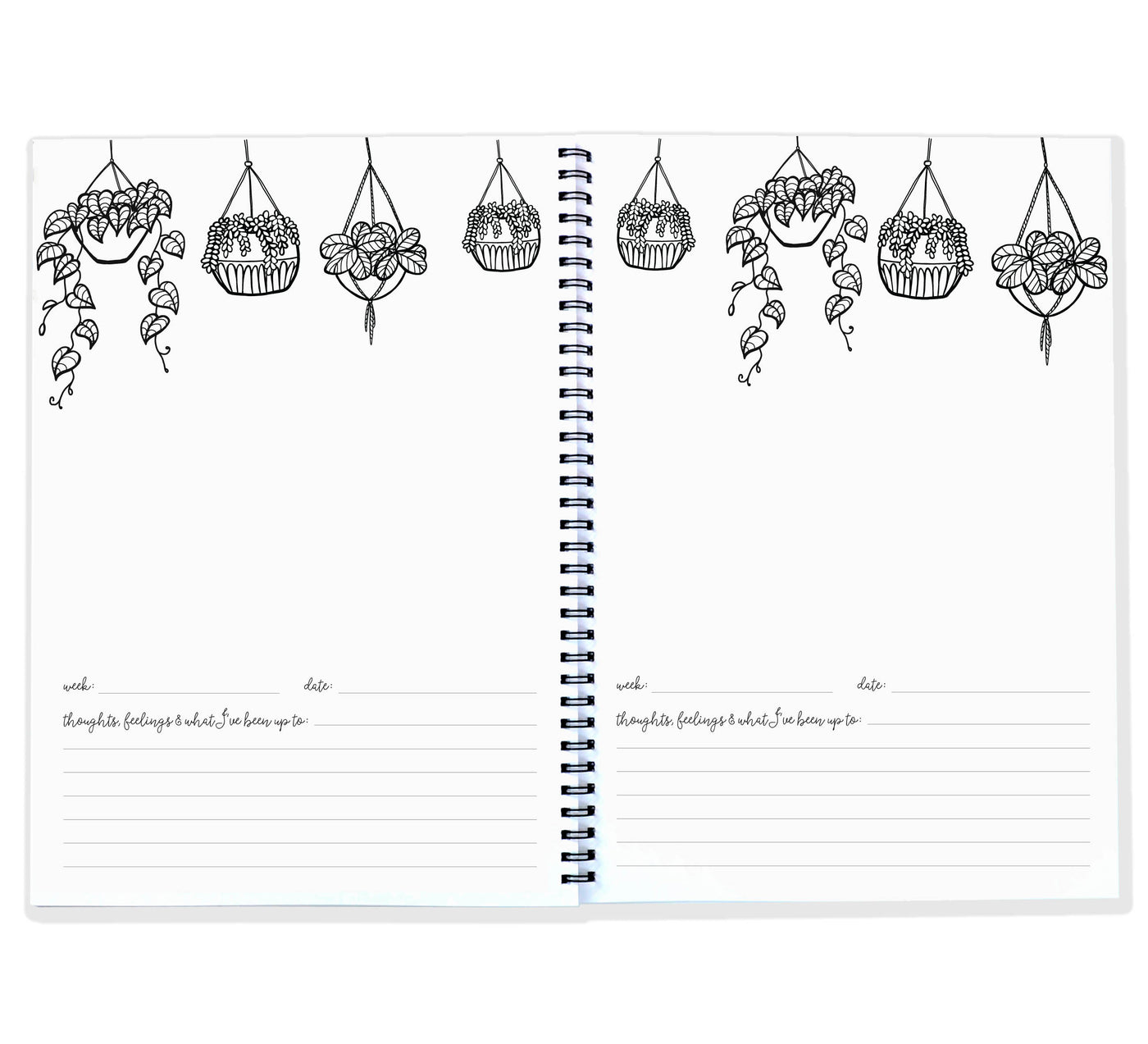 Blueberry Co Pregnancy Journal: The best modern pregnancy diary you can colour in! Suitable for IVF diary and same-sex families!