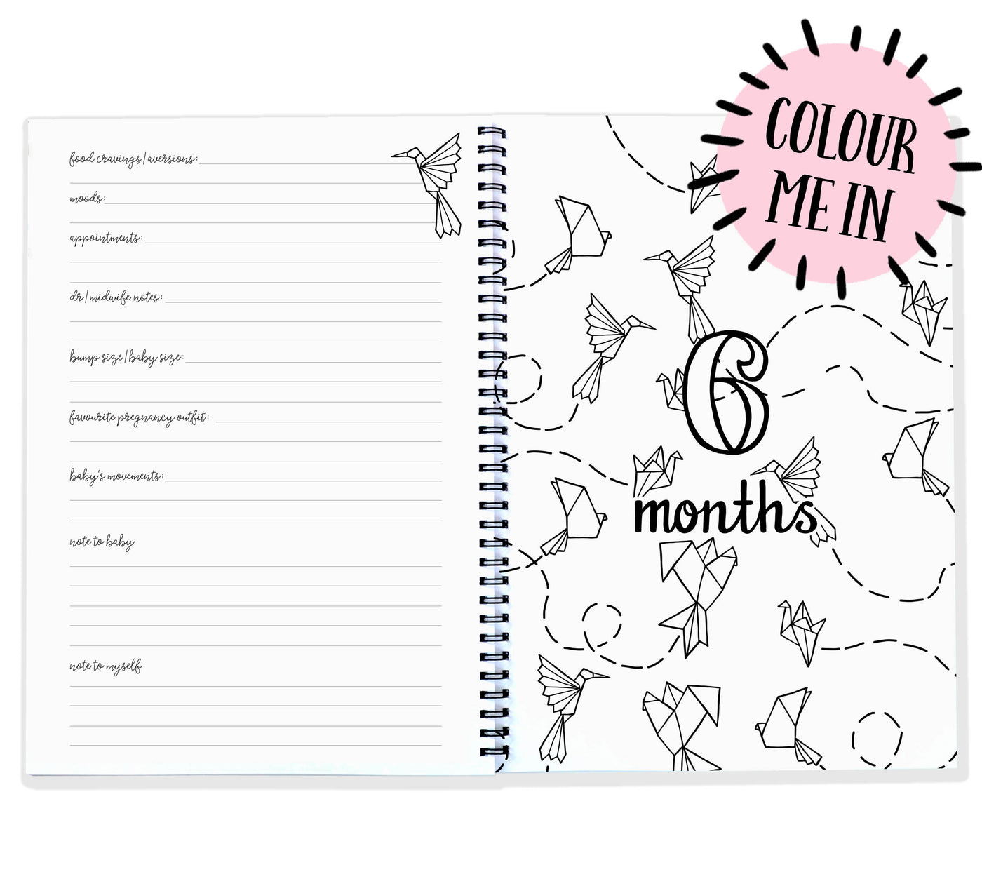 Blueberry Co Pregnancy Journal: The best modern pregnancy diary you can colour in! Suitable for IVF diary and same-sex families!