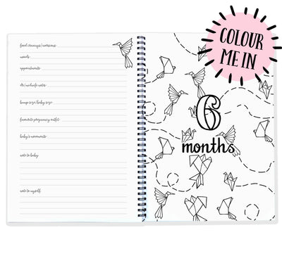Blueberry Co Pregnancy Journal: The best modern pregnancy diary you can colour in! Suitable for IVF diary and same-sex families!