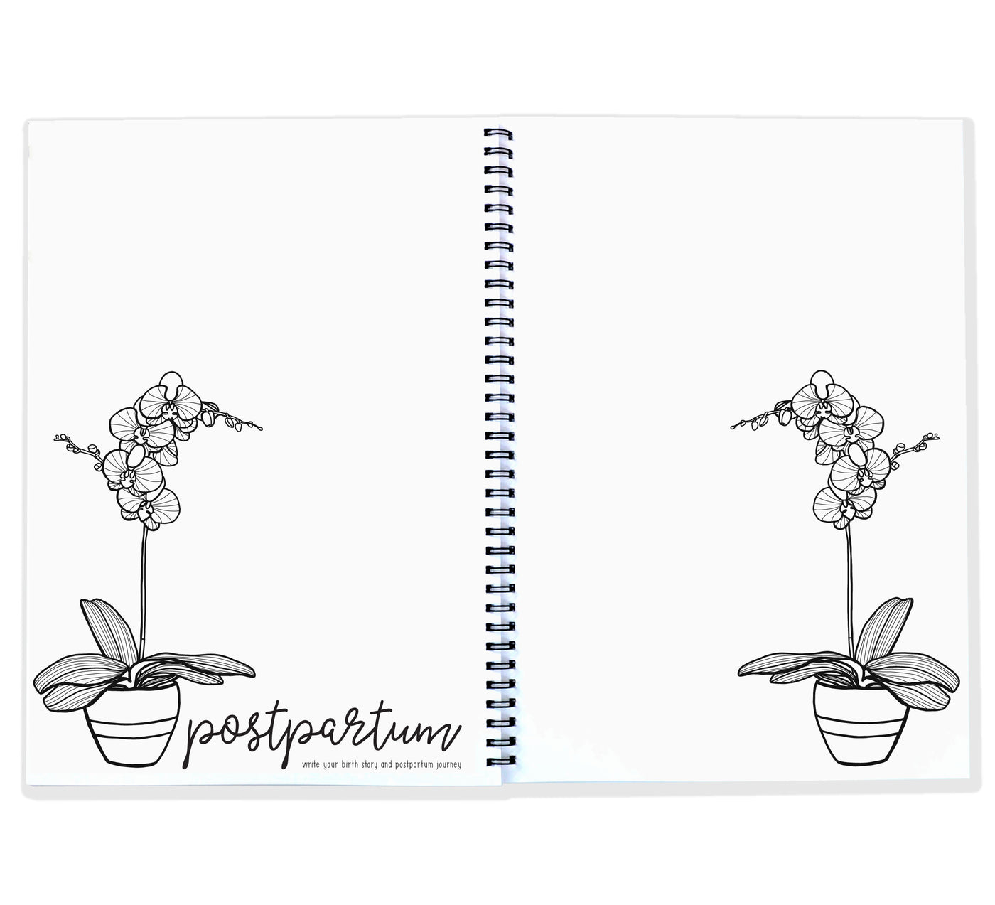 Blueberry Co Pregnancy Journal: The best modern pregnancy diary you can colour in! Suitable for IVF diary and same-sex families!