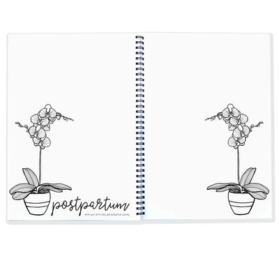 Blueberry Co Pregnancy Journal: The best modern pregnancy diary you can colour in! Suitable for IVF diary and same-sex families!